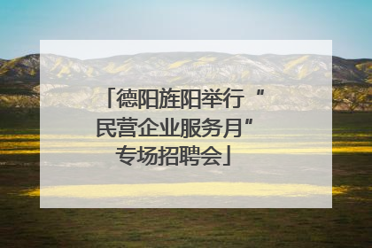 德阳旌阳举行“民营企业服务月”专场招聘会