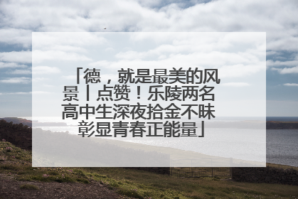 德，就是最美的风景丨点赞！乐陵两名高中生深夜拾金不昧 彰显青春正能量