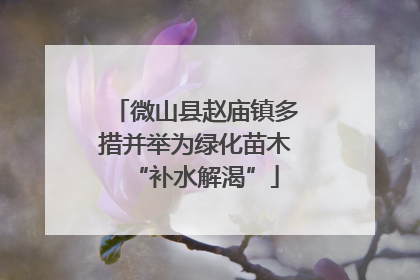 微山县赵庙镇多措并举为绿化苗木“补水解渴”