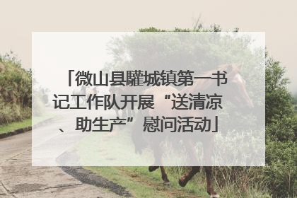 微山县驩城镇第一书记工作队开展“送清凉、助生产”慰问活动