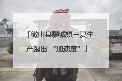 微山县驩城镇三夏生产跑出 “加速度”