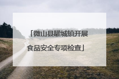 微山县驩城镇开展食品安全专项检查
