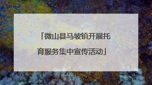 微山县马坡镇开展托育服务集中宣传活动