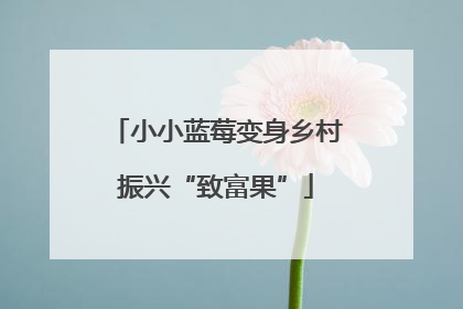 小小蓝莓变身乡村振兴“致富果”