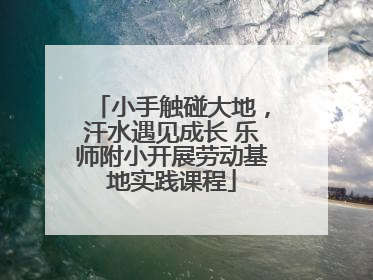 小手触碰大地，汗水遇见成长 乐师附小开展劳动基地实践课程