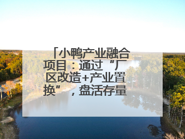 小鸭产业融合项目：通过“厂区改造+产业置换”，盘活存量，增值增效