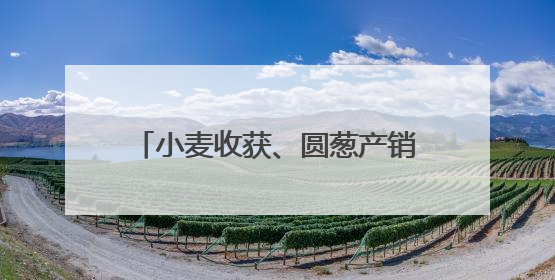 小麦收获、圆葱产销旺、水稻长势好……乡村处处是“丰”景