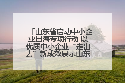 山东省启动中小企业出海专项行动 以优质中小企业“走出去”新成效展示山东产业发展新形象