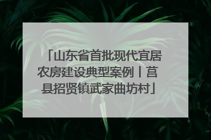 山东省首批现代宜居农房建设典型案例丨莒县招贤镇武家曲坊村