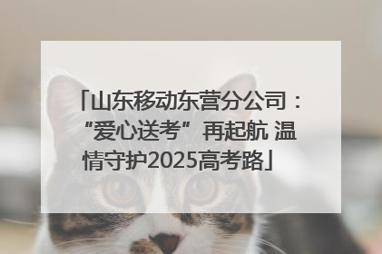 山东移动东营分公司：“爱心送考”再起航 温情守护2025高考路