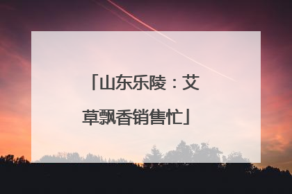 山东乐陵：艾草飘香销售忙