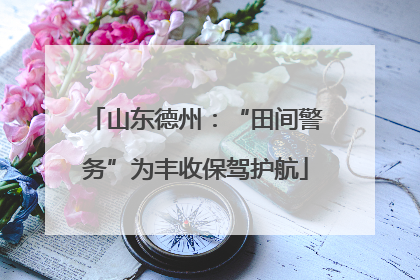 山东德州：“田间警务”为丰收保驾护航