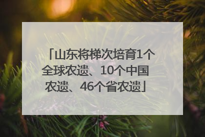 山东将梯次培育1个全球农遗、10个中国农遗、46个省农遗