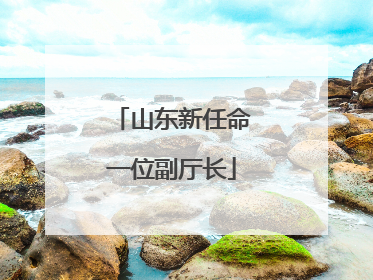 山东新任命一位副厅长