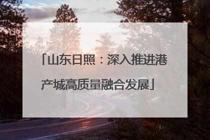 山东日照：深入推进港产城高质量融合发展