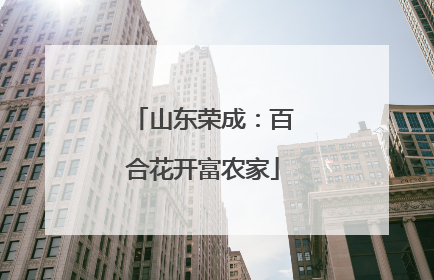 山东荣成：百合花开富农家