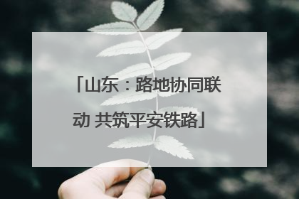 山东：路地协同联动 共筑平安铁路
