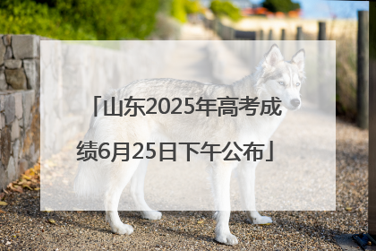 山东2025年高考成绩6月25日下午公布