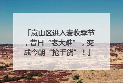 岚山区进入麦收季节，昔日“老大难”，变成今朝“抢手货”！