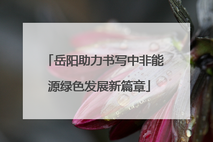 岳阳助力书写中非能源绿色发展新篇章