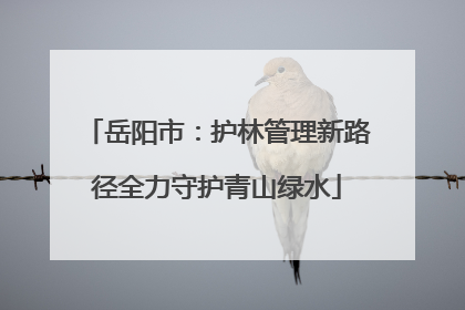 岳阳市：护林管理新路径全力守护青山绿水