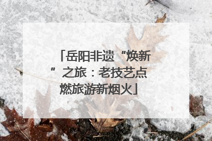 岳阳非遗“焕新”之旅：老技艺点燃旅游新烟火