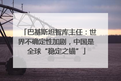 巴基斯坦智库主任：世界不确定性加剧，中国是全球“稳定之锚”