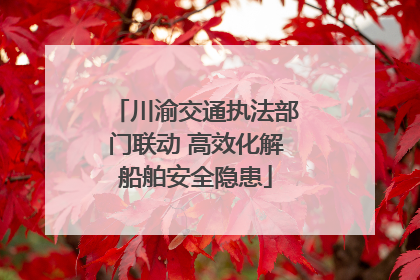 川渝交通执法部门联动 高效化解船舶安全隐患
