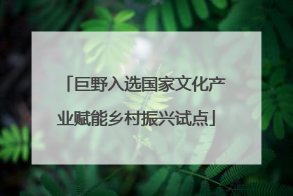 巨野入选国家文化产业赋能乡村振兴试点