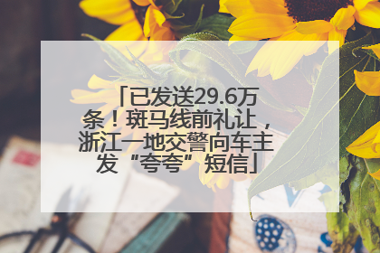 已发送29.6万条！斑马线前礼让，浙江一地交警向车主发“夸夸”短信