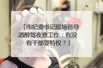 市纪委书记现场督导酒醉驾夜查工作：有没有干部耍特权？