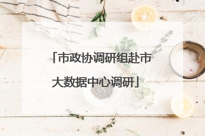 市政协调研组赴市大数据中心调研