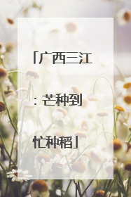 广西三江：芒种到 忙种稻