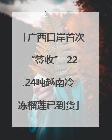 广西口岸首次“签收” 22.24吨越南冷冻榴莲已到货
