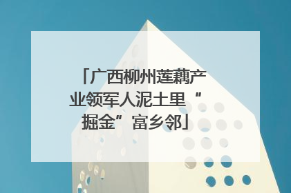 广西柳州莲藕产业领军人泥土里“掘金”富乡邻