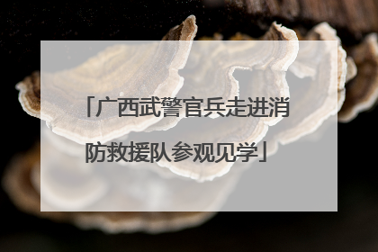 广西武警官兵走进消防救援队参观见学