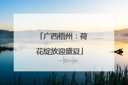 广西梧州：荷花绽放迎盛夏