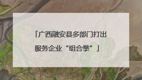 广西融安县多部门打出服务企业“组合拳”