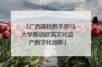 广西高校携手罗马大学推动建筑文化遗产数字化创新