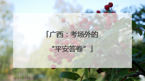 广西：考场外的“平安答卷”