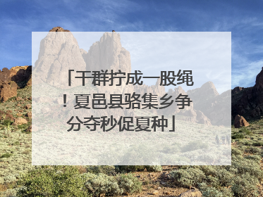 干群拧成一股绳！夏邑县骆集乡争分夺秒促夏种