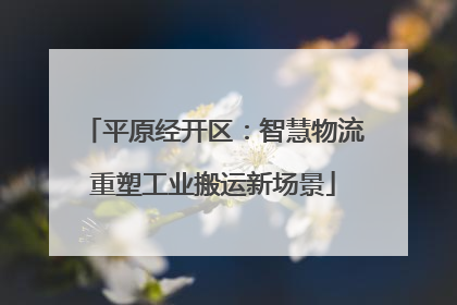 平原经开区：智慧物流重塑工业搬运新场景