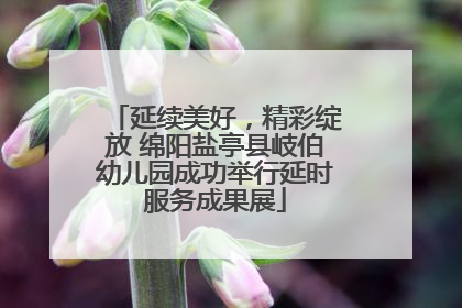 延续美好，精彩绽放 绵阳盐亭县岐伯幼儿园成功举行延时服务成果展