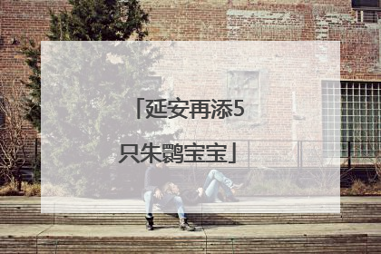 延安再添5只朱鹮宝宝