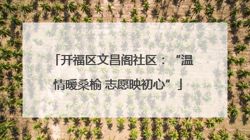 开福区文昌阁社区：“温情暖桑榆 志愿映初心”
