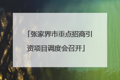 张家界市重点招商引资项目调度会召开
