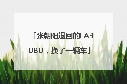 张朝阳退回的LABUBU，换了一辆车