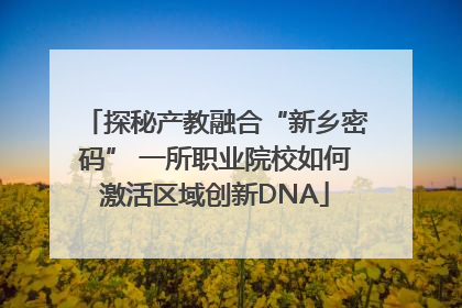 探秘产教融合“新乡密码” 一所职业院校如何激活区域创新DNA