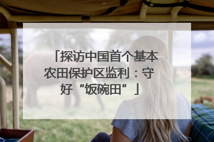 探访中国首个基本农田保护区监利：守好“饭碗田”