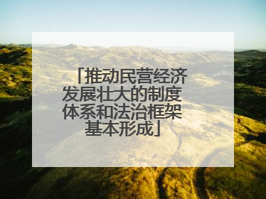 推动民营经济发展壮大的制度体系和法治框架基本形成